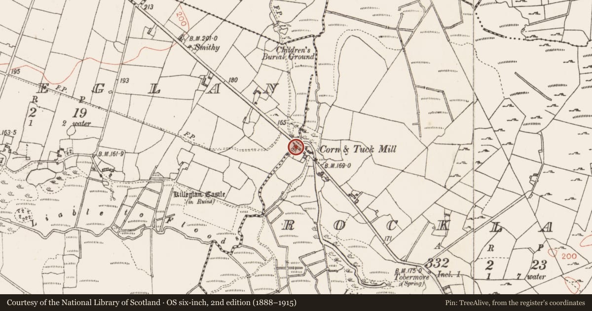 Ordnance Survey six-inch map, 2nd edition (1888–1915) covering the location of Water mill - vertical-wheeled, Rockland, County Roscommon, with a pin at the register's coordinates