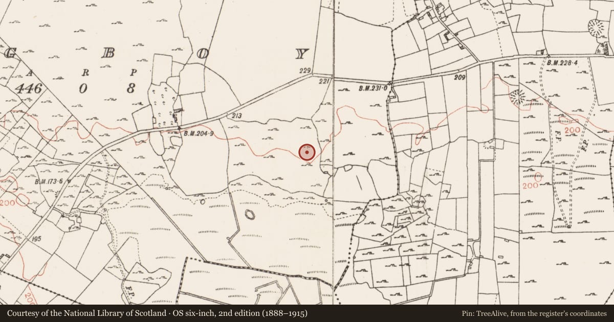 Ordnance Survey six-inch map, 2nd edition (1888–1915) covering the location of House - indeterminate date, Lugboy, County Roscommon, with a pin at the register's coordinates