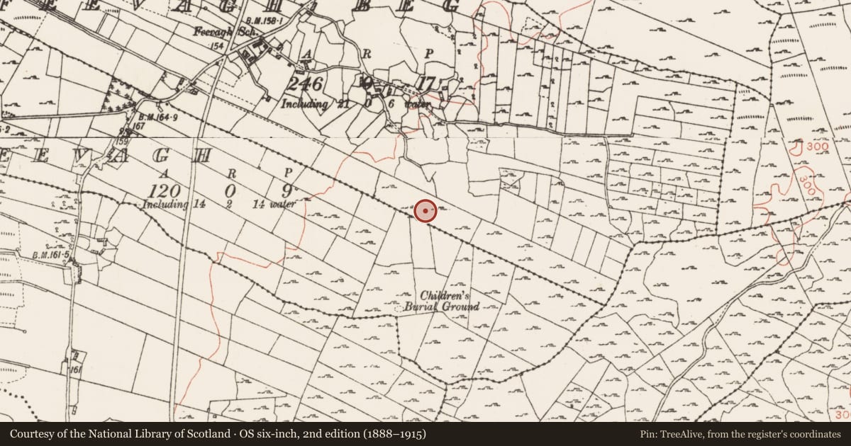 Ordnance Survey six-inch map, 2nd edition (1888–1915) covering the location of Field boundary, Feevagh Beg, County Roscommon, with a pin at the register's coordinates