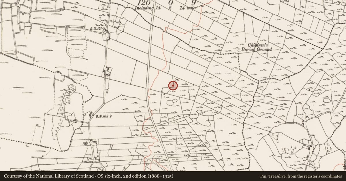 Ordnance Survey six-inch map, 2nd edition (1888–1915) covering the location of Field system, Feevagh More, County Roscommon, with a pin at the register's coordinates