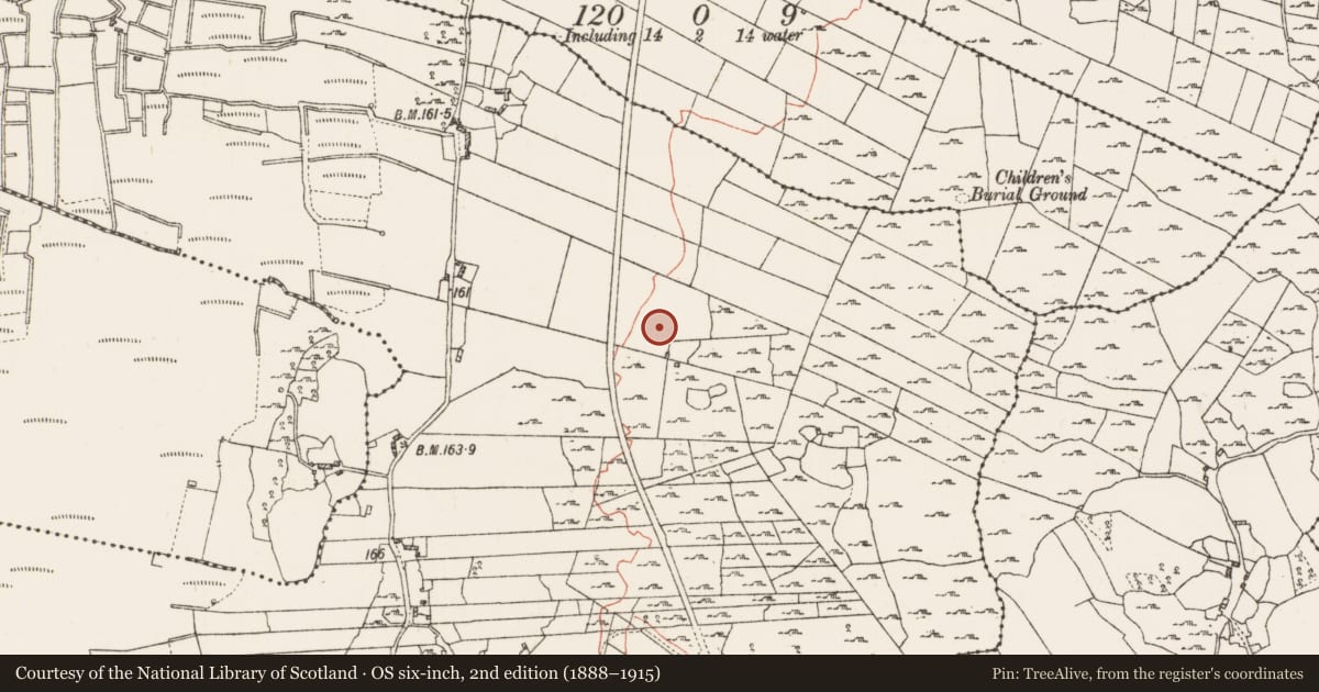 Ordnance Survey six-inch map, 2nd edition (1888–1915) covering the location of Hut site, Feevagh More, County Roscommon, with a pin at the register's coordinates