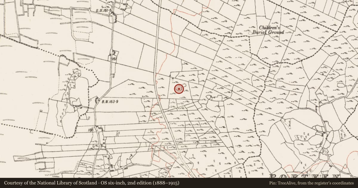 Ordnance Survey six-inch map, 2nd edition (1888–1915) covering the location of Enclosure, Feevagh More, County Roscommon, with a pin at the register's coordinates