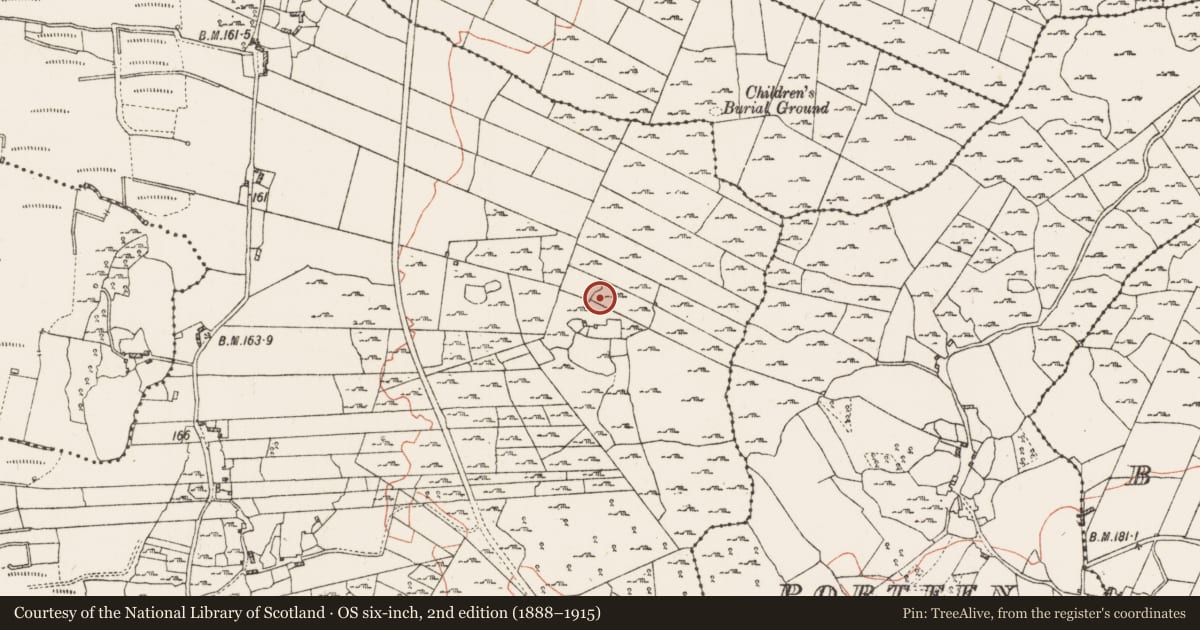 Ordnance Survey six-inch map, 2nd edition (1888–1915) covering the location of Ringfort - cashel, Feevagh More, County Roscommon, with a pin at the register's coordinates