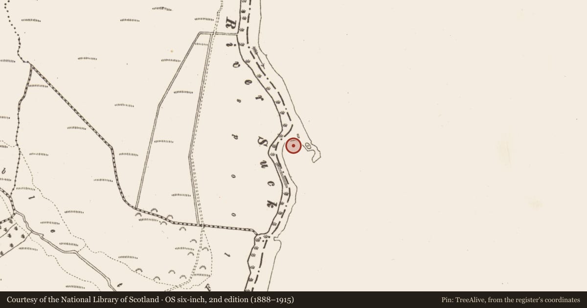 Ordnance Survey six-inch map, 2nd edition (1888–1915) covering the location of Mound, Porteen And Ballyrevagh West, County Roscommon, with a pin at the register's coordinates