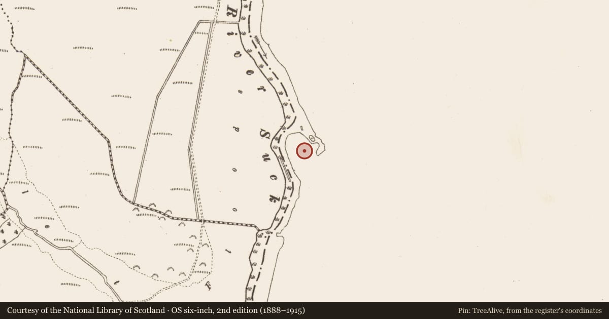 Ordnance Survey six-inch map, 2nd edition (1888–1915) covering the location of Mound, Porteen And Ballyrevagh West, County Roscommon, with a pin at the register's coordinates