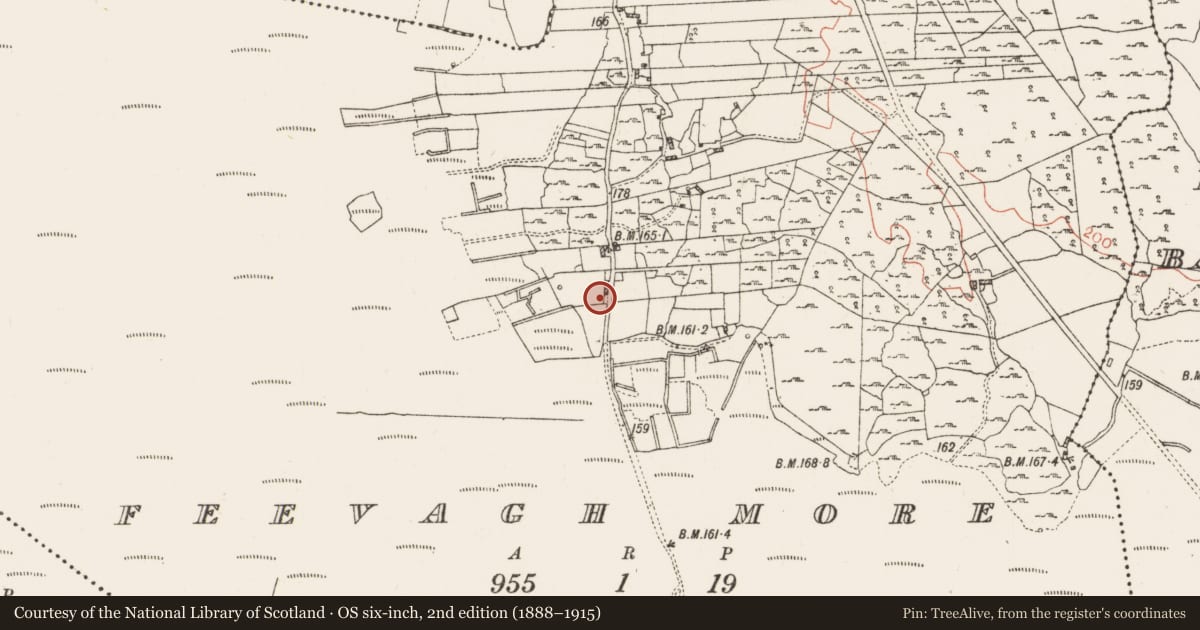 Ordnance Survey six-inch map, 2nd edition (1888–1915) covering the location of Architectural fragment, Feevagh, County Roscommon, with a pin at the register's coordinates