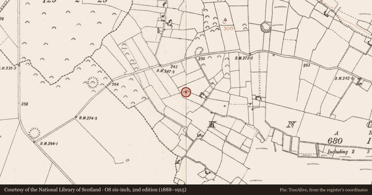 Ordnance Survey six-inch map, 2nd edition (1888–1915) covering the location of Enclosure, Knock, County Roscommon, with a pin at the register's coordinates
