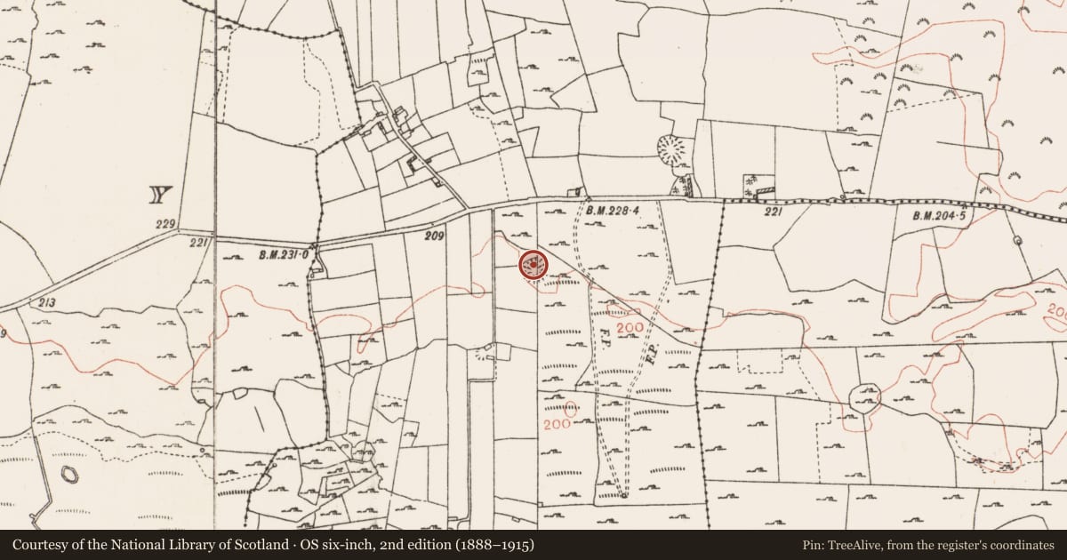 Ordnance Survey six-inch map, 2nd edition (1888–1915) covering the location of Ringfort - rath, Tobermacloughlin, County Roscommon, with a pin at the register's coordinates