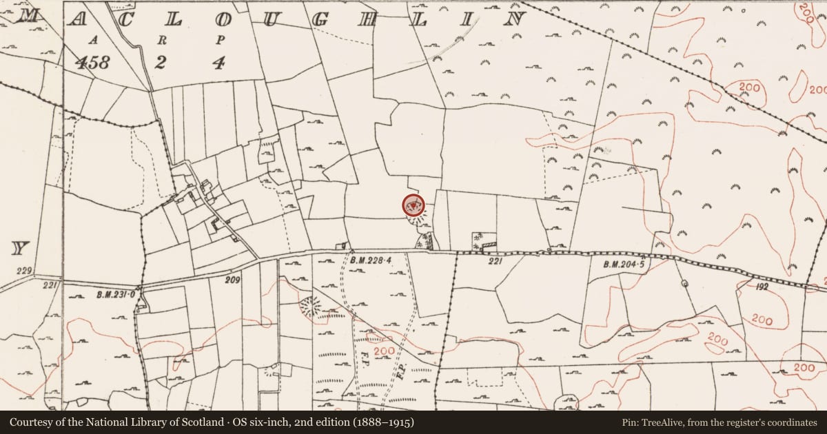 Ordnance Survey six-inch map, 2nd edition (1888–1915) covering the location of Ringfort - rath, Tobermacloughlin, County Roscommon, with a pin at the register's coordinates