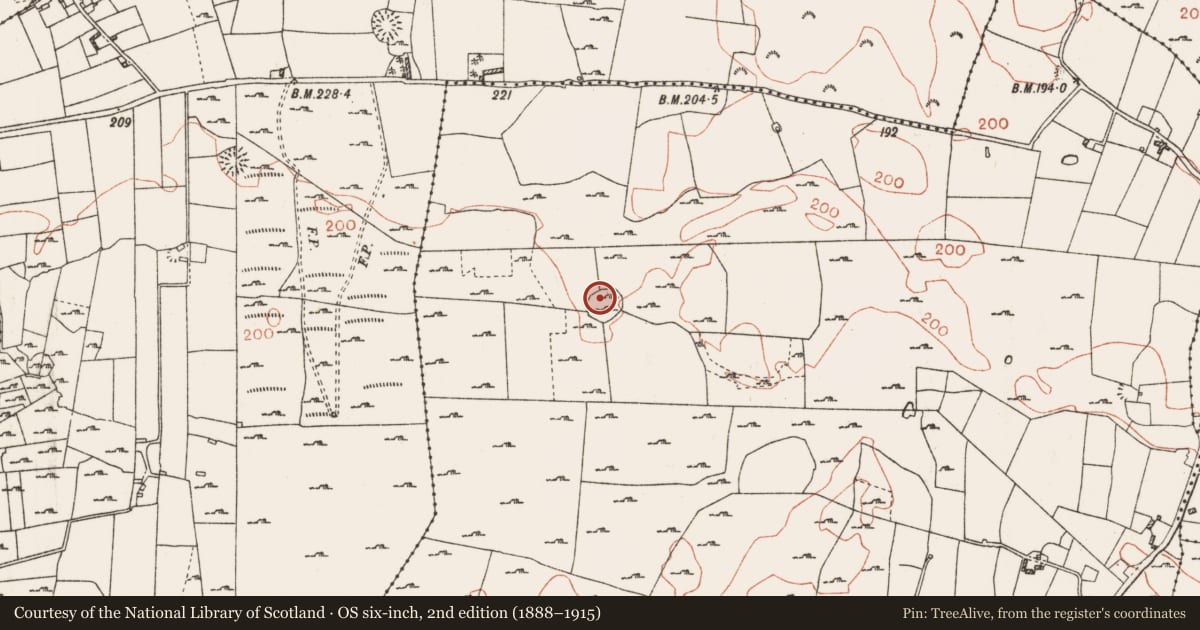 Ordnance Survey six-inch map, 2nd edition (1888–1915) covering the location of Ringfort - rath, Onagh, County Roscommon, with a pin at the register's coordinates