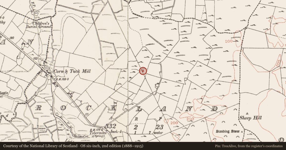 Ordnance Survey six-inch map, 2nd edition (1888–1915) covering the location of Ringfort - cashel, Rockland, County Roscommon, with a pin at the register's coordinates