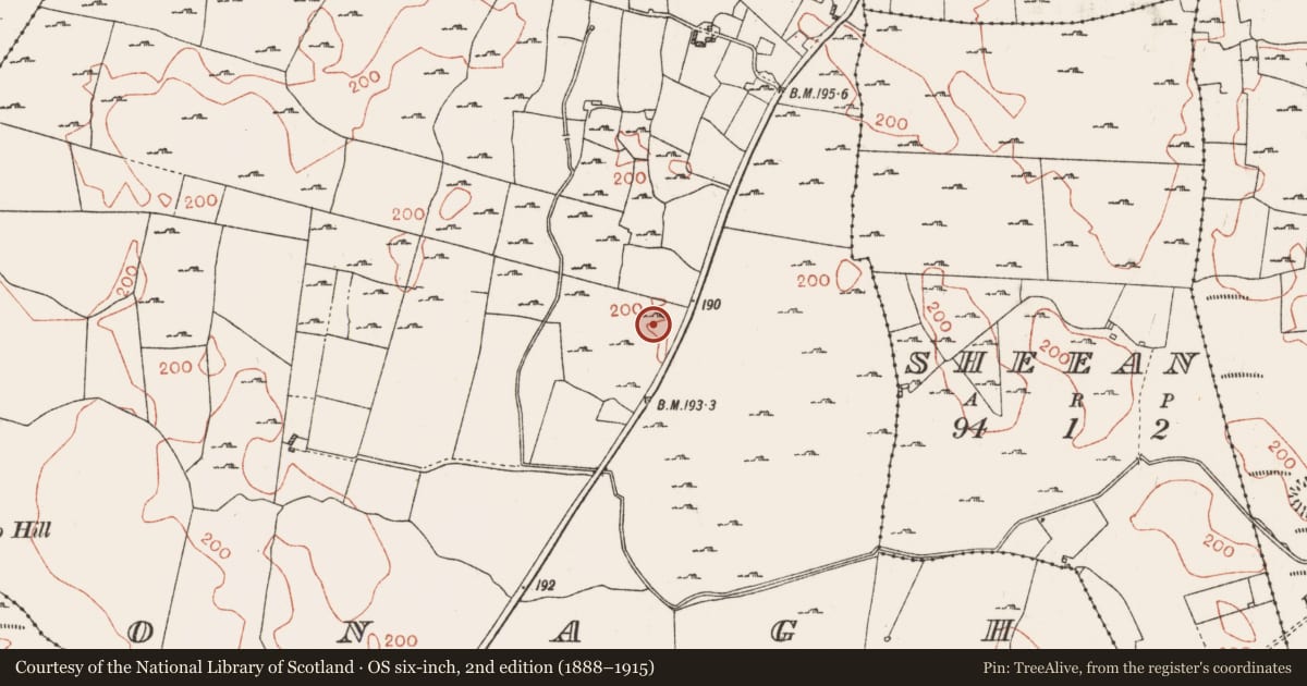 Ordnance Survey six-inch map, 2nd edition (1888–1915) covering the location of Ringfort - rath, Onagh, County Roscommon, with a pin at the register's coordinates