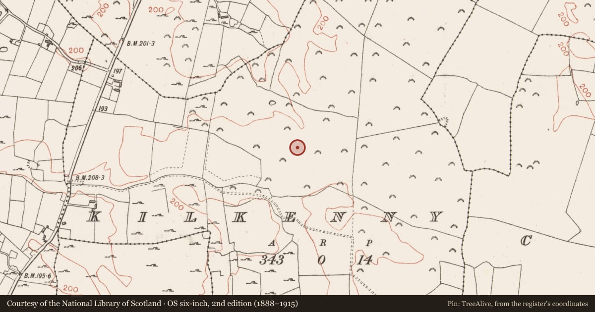 Ordnance Survey six-inch map, 2nd edition (1888–1915) covering the location of Graveyard, Kilkenny, County Roscommon, with a pin at the register's coordinates