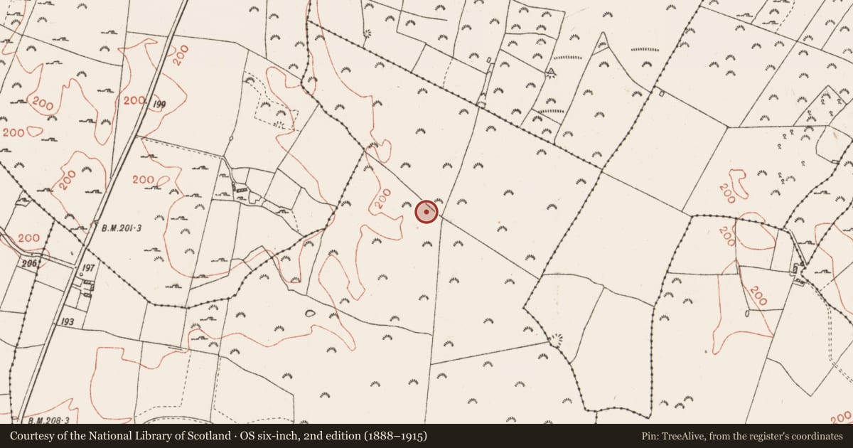 Ordnance Survey six-inch map, 2nd edition (1888–1915) covering the location of Cist, Kilkenny, County Roscommon, with a pin at the register's coordinates