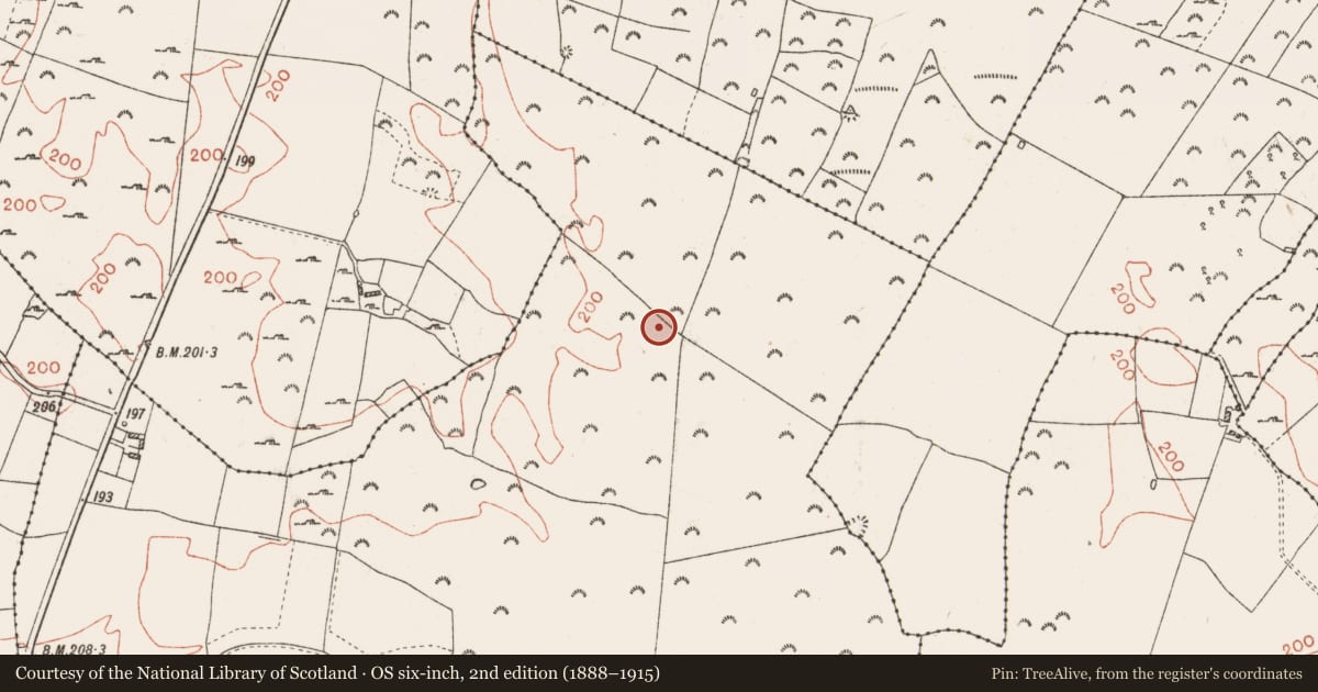 Ordnance Survey six-inch map, 2nd edition (1888–1915) covering the location of Cairn - burial cairn, Kilkenny, County Roscommon, with a pin at the register's coordinates