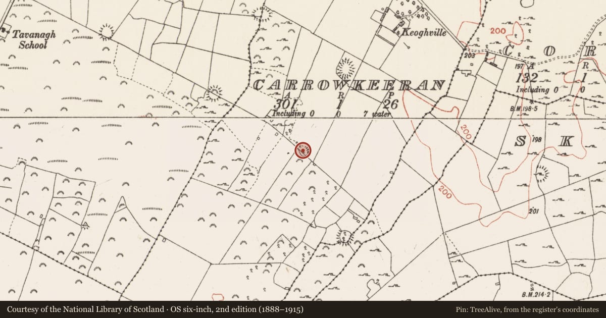 Ordnance Survey six-inch map, 2nd edition (1888–1915) covering the location of Ringfort - cashel, Carrowkeeran, County Roscommon, with a pin at the register's coordinates