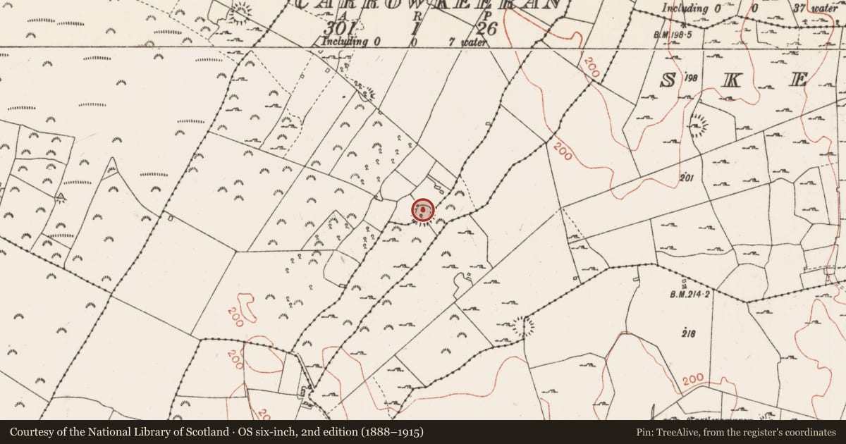 Ordnance Survey six-inch map, 2nd edition (1888–1915) covering the location of Ringfort - cashel, Carrowkeeran, Corkip, County Roscommon, with a pin at the register's coordinates