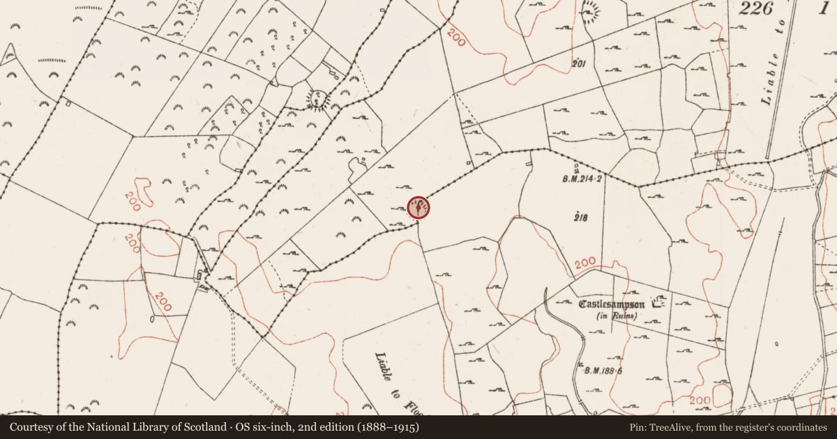 Ordnance Survey six-inch map, 2nd edition (1888–1915) covering the location of Ringfort - rath, Castlesampson, Skeanamuck, County Roscommon, with a pin at the register's coordinates