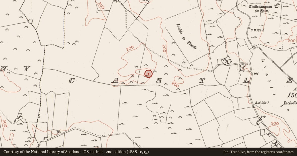 Ordnance Survey six-inch map, 2nd edition (1888–1915) covering the location of Souterrain, Castlesampson, County Roscommon, with a pin at the register's coordinates