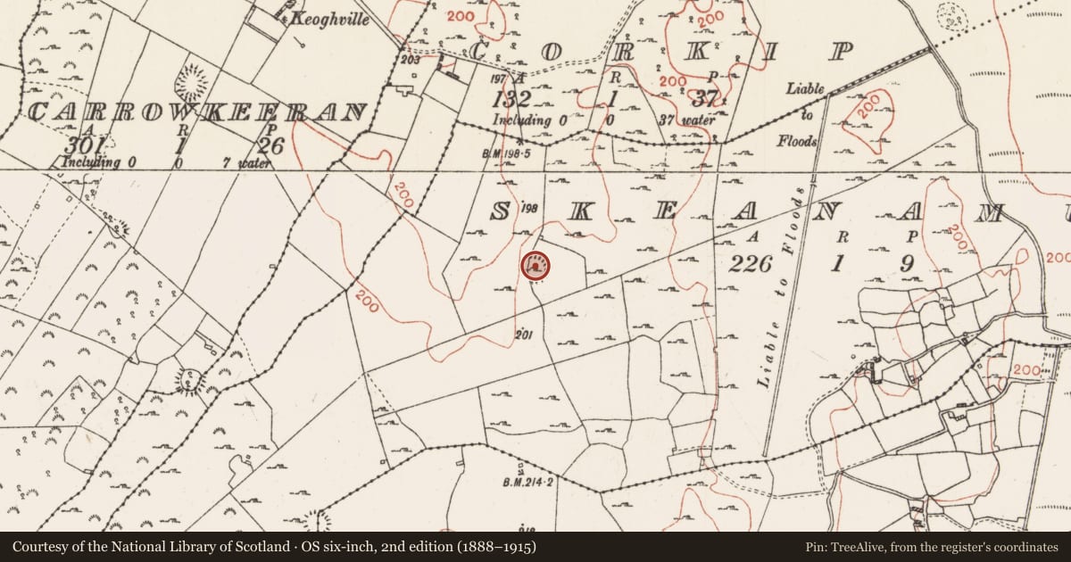 Ordnance Survey six-inch map, 2nd edition (1888–1915) covering the location of Ringfort - cashel, Skeanamuck, County Roscommon, with a pin at the register's coordinates
