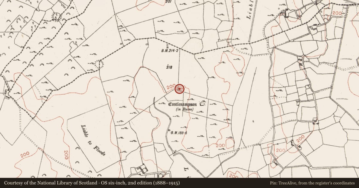 Ordnance Survey six-inch map, 2nd edition (1888–1915) covering the location of Architectural fragment, Castlesampson, County Roscommon, with a pin at the register's coordinates