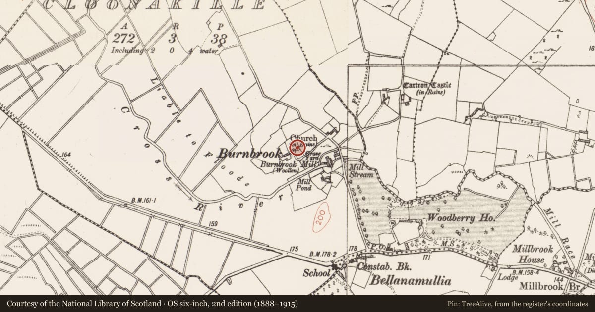 Ordnance Survey six-inch map, 2nd edition (1888–1915) covering the location of Church, Cloonakille, County Roscommon, with a pin at the register's coordinates