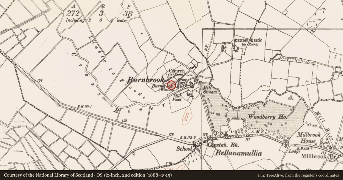 Ordnance Survey six-inch map, 2nd edition (1888–1915) covering the location of Bullaun stone, Cloonakille, County Roscommon, with a pin at the register's coordinates