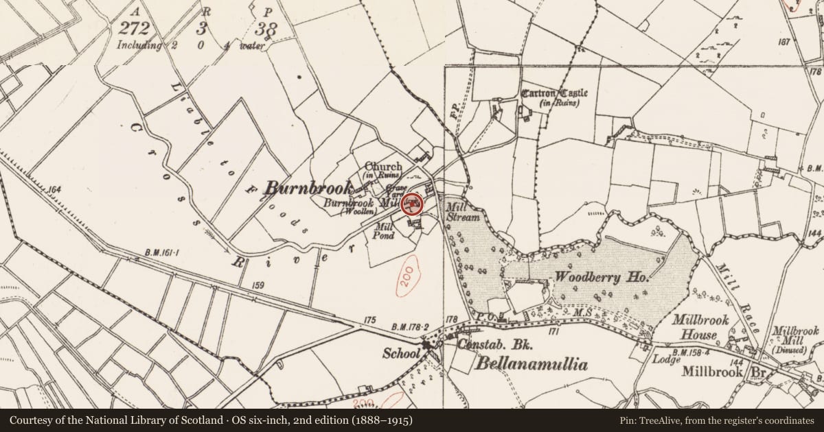 Ordnance Survey six-inch map, 2nd edition (1888–1915) covering the location of Water mill - unclassified, Cloonakille, County Roscommon, with a pin at the register's coordinates