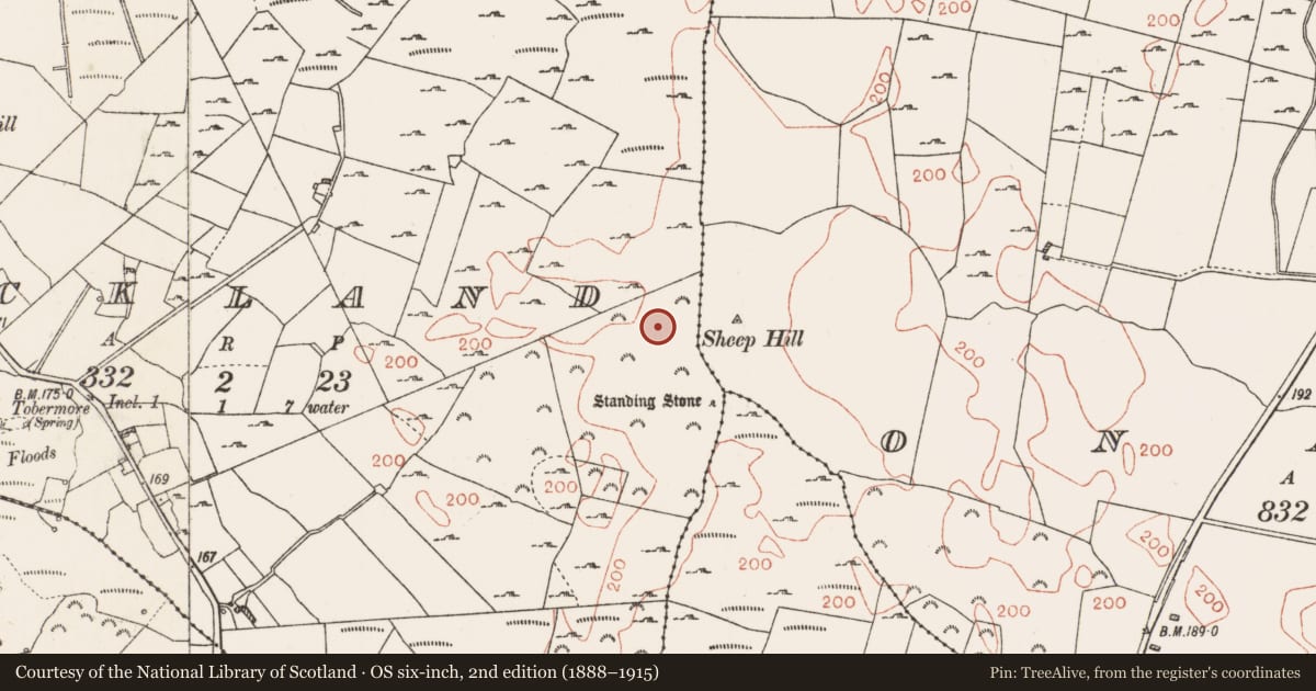 Ordnance Survey six-inch map, 2nd edition (1888–1915) covering the location of Ringfort - rath, Rockland, County Roscommon, with a pin at the register's coordinates