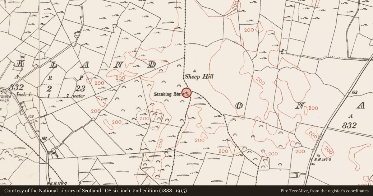 Ordnance Survey six-inch map, 2nd edition (1888–1915) covering the location of Cross - Wayside cross, Rockland, County Roscommon, with a pin at the register's coordinates