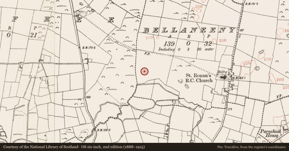 Ordnance Survey six-inch map, 2nd edition (1888–1915) covering the location of Religious house - Carmelite friars, Bellaneeny, County Roscommon, with a pin at the register's coordinates