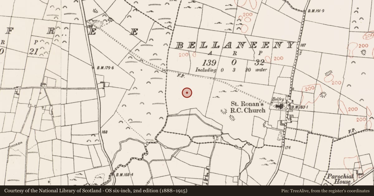 Ordnance Survey six-inch map, 2nd edition (1888–1915) covering the location of Field system, Bellaneeny, County Roscommon, with a pin at the register's coordinates