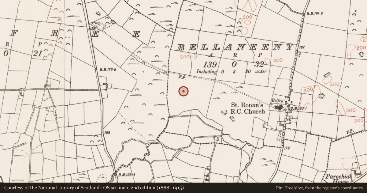 Ordnance Survey six-inch map, 2nd edition (1888–1915) covering the location of House - indeterminate date, Bellaneeny, County Roscommon, with a pin at the register's coordinates