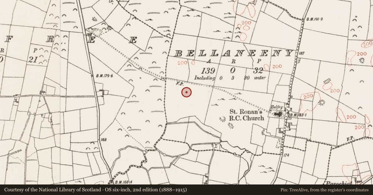 Ordnance Survey six-inch map, 2nd edition (1888–1915) covering the location of Road - road/trackway, Bellaneeny, County Roscommon, with a pin at the register's coordinates