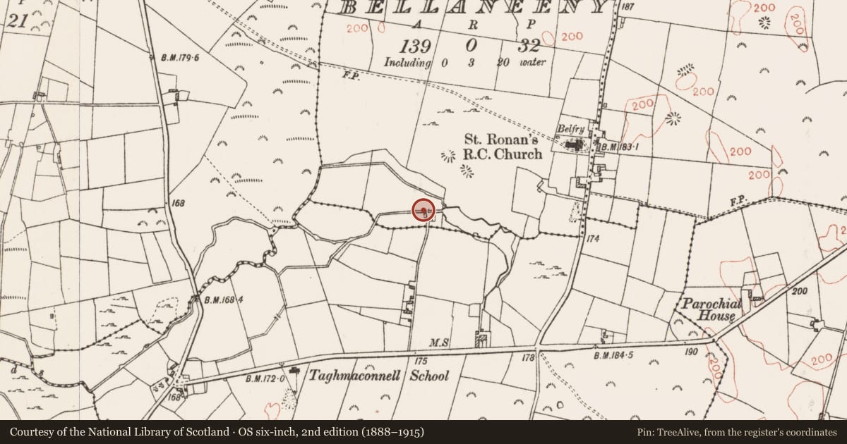 Ordnance Survey six-inch map, 2nd edition (1888–1915) covering the location of Mill - unclassified, Bellaneeny, County Roscommon, with a pin at the register's coordinates