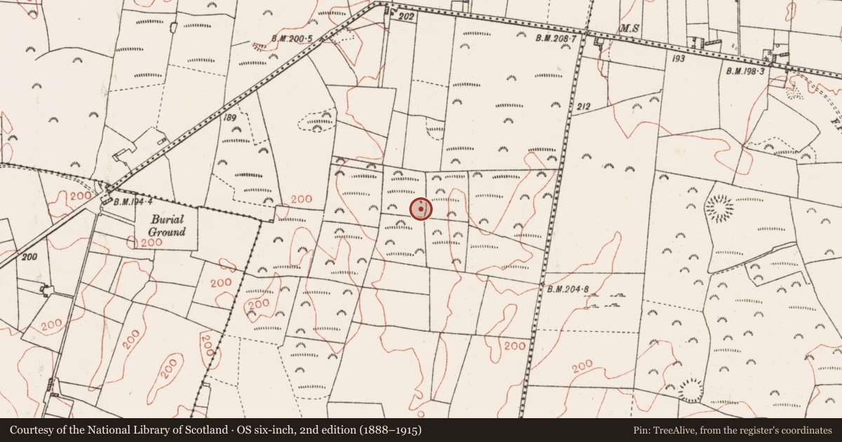 Ordnance Survey six-inch map, 2nd edition (1888–1915) covering the location of Ringfort - rath, Turlaghmore, County Roscommon, with a pin at the register's coordinates
