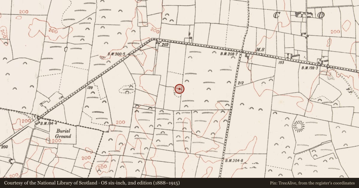 Ordnance Survey six-inch map, 2nd edition (1888–1915) covering the location of Ringfort - rath, Turlaghmore, County Roscommon, with a pin at the register's coordinates