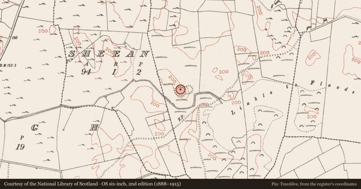 Ordnance Survey six-inch map, 2nd edition (1888–1915) covering the location of Ringfort - rath, Kilkenny, County Roscommon, with a pin at the register's coordinates