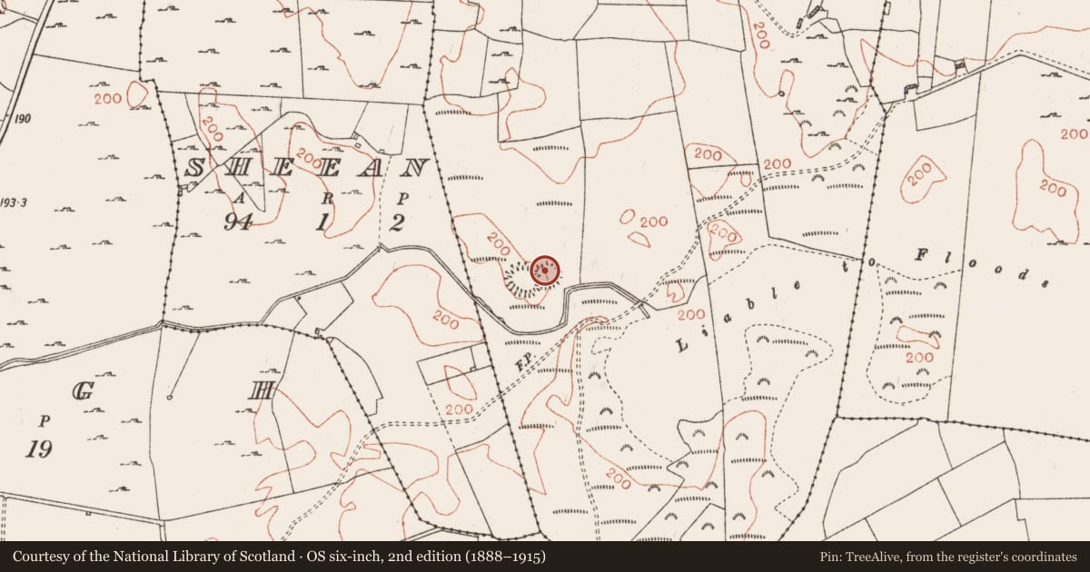 Ordnance Survey six-inch map, 2nd edition (1888–1915) covering the location of Enclosure, Kilkenny, County Roscommon, with a pin at the register's coordinates