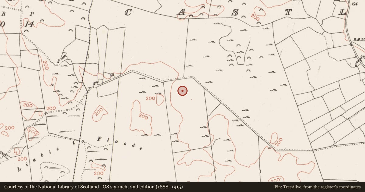 Ordnance Survey six-inch map, 2nd edition (1888–1915) covering the location of Ringfort - rath, Castlesampson, County Roscommon, with a pin at the register's coordinates