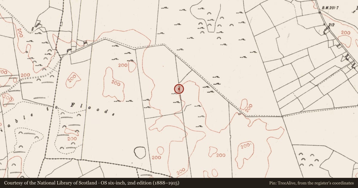 Ordnance Survey six-inch map, 2nd edition (1888–1915) covering the location of Building, Castlesampson, County Roscommon, with a pin at the register's coordinates