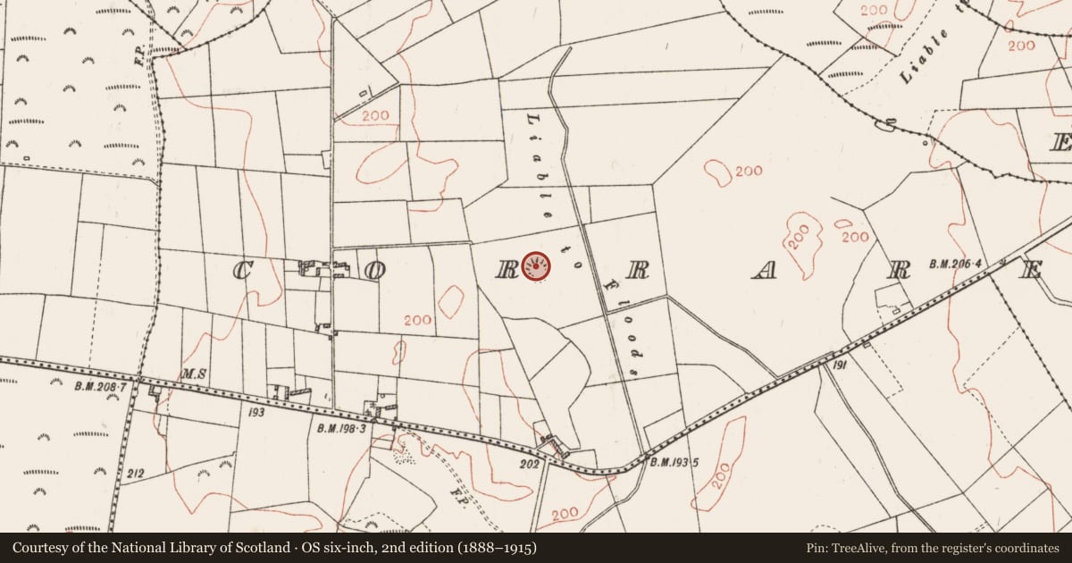 Ordnance Survey six-inch map, 2nd edition (1888–1915) covering the location of Ringfort - rath, Corraree And Ballygatta, County Roscommon, with a pin at the register's coordinates