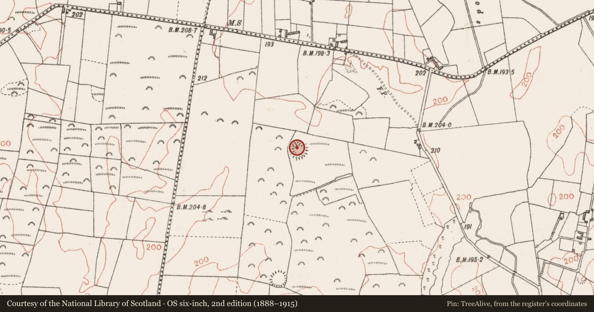 Ordnance Survey six-inch map, 2nd edition (1888–1915) covering the location of Ringfort - rath, Carrowduff And Garbally, County Roscommon, with a pin at the register's coordinates