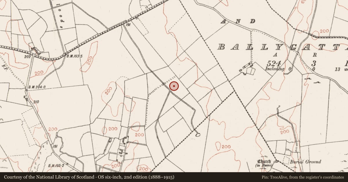 Ordnance Survey six-inch map, 2nd edition (1888–1915) covering the location of Ringfort - rath, Carrowduff And Garbally, County Roscommon, with a pin at the register's coordinates