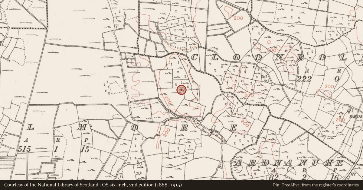 Ordnance Survey six-inch map, 2nd edition (1888–1915) covering the location of Ringfort - cashel, Cuilmore, County Roscommon, with a pin at the register's coordinates