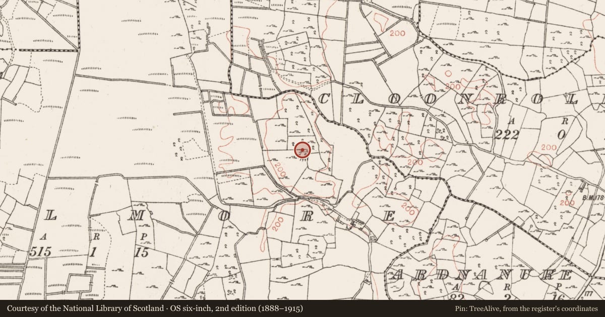 Ordnance Survey six-inch map, 2nd edition (1888–1915) covering the location of House - indeterminate date, Cuilmore, County Roscommon, with a pin at the register's coordinates