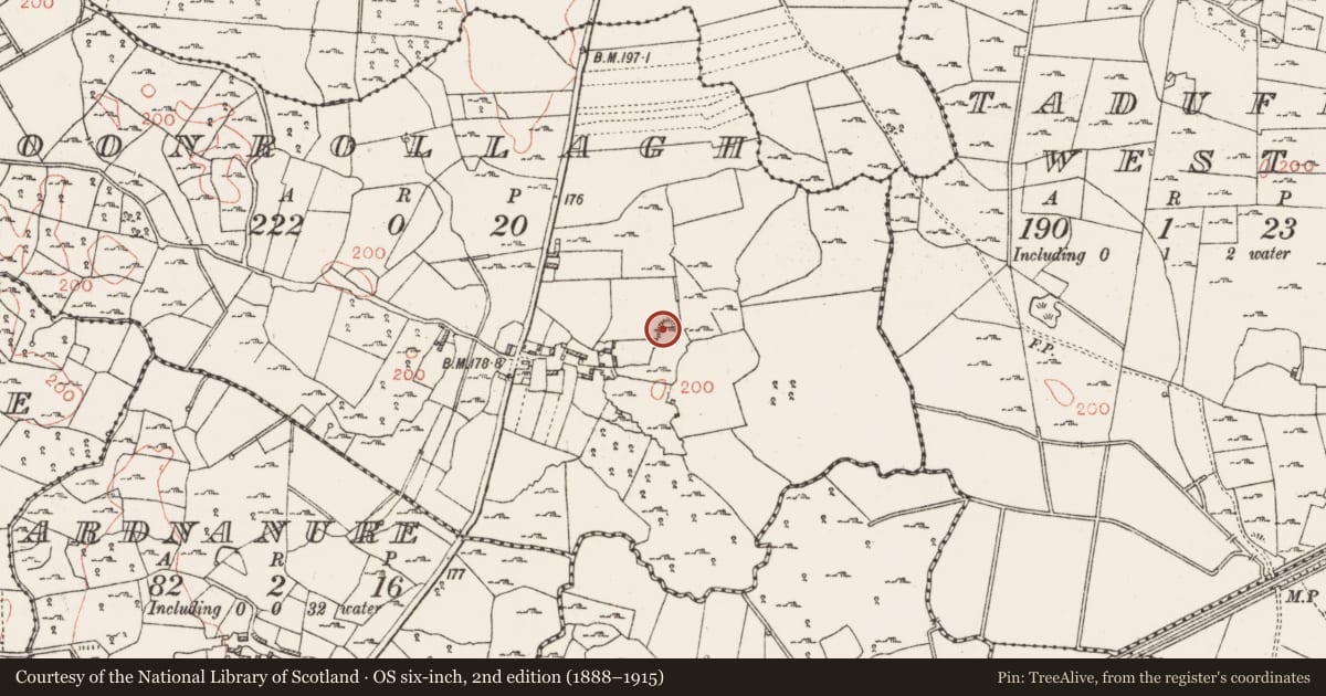 Ordnance Survey six-inch map, 2nd edition (1888–1915) covering the location of Ringfort - rath, Cloonrollagh, County Roscommon, with a pin at the register's coordinates