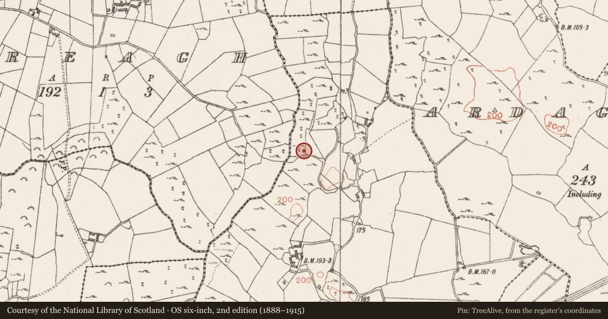 Ordnance Survey six-inch map, 2nd edition (1888–1915) covering the location of Megalithic tomb - portal tomb, Mihanboy, County Roscommon, with a pin at the register's coordinates