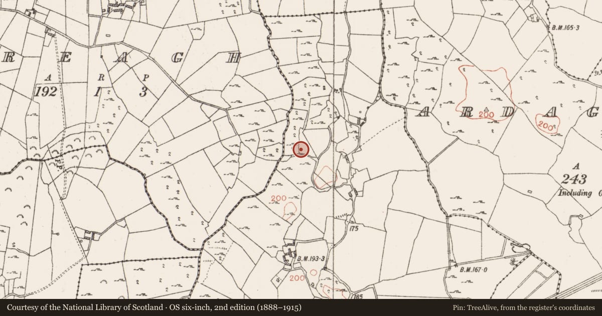 Ordnance Survey six-inch map, 2nd edition (1888–1915) covering the location of Headstone, Mihanboy, County Roscommon, with a pin at the register's coordinates