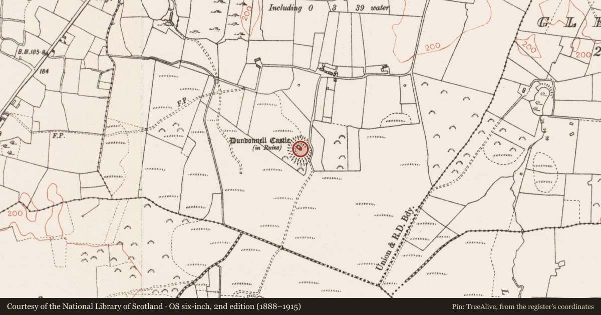 Ordnance Survey six-inch map, 2nd edition (1888–1915) covering the location of Castle - ringwork, Dundonnell, County Roscommon, with a pin at the register's coordinates